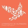 Strength In Numbers Consulting Group