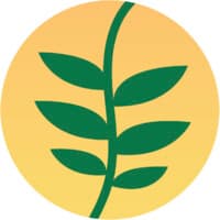 Suryanesia