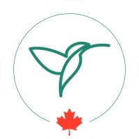 Swift Innovations