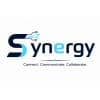 Synergy LLC