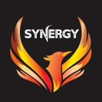 Synergy- Sports Society of IGDTUW