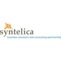 Syntelica Consulting Inc