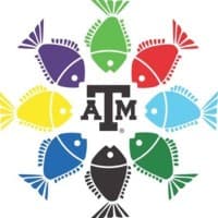 TAMU Fish Camp