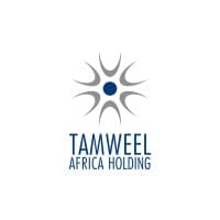 Tamweel Africa Holding
