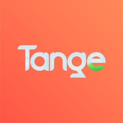 Tange Soluções Digitais