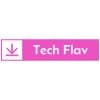 Tech Flav