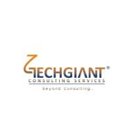 TechGiant Consulting Services Inc