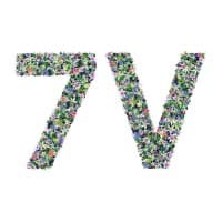 The 7 Virtues Beauty Inc.