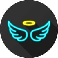 Angel Investor