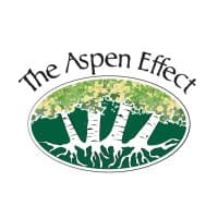 The Aspen Effect Inc.