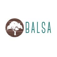The BALSA Group