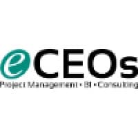 The eCEOs