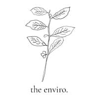 The Environmentalist