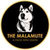 THE MALAMUTE - A PACK WITH VISION