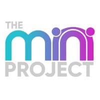 The Mini Project