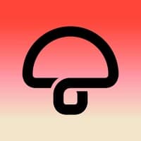 Mushroom Group