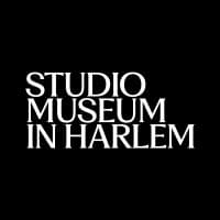 the studio museum in harlem