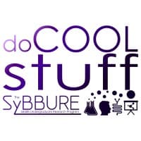 The SyBBURE Searle Undergraduate Research Program