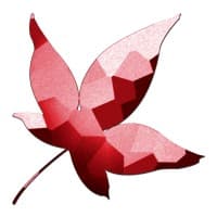 The Big Leaf - Executive Consulting