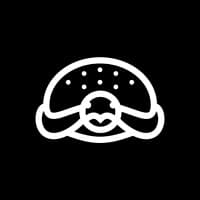 The Black Turtle