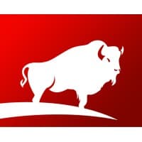 The Buffalo Group