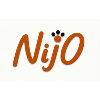 The Nijo Studio