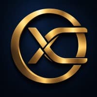 The Remote CXO