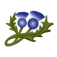 Thistle Lodge Specialist Care Ltd