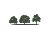 Three Trees Talent