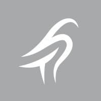tilney group