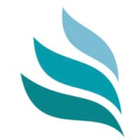 Timber Treatment Solutions