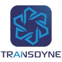 TransDyne IT Services