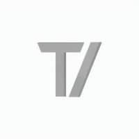 Transformative Ventures