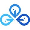 Trillium Digital Services