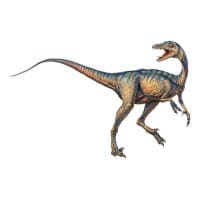 TROODON MEDIA