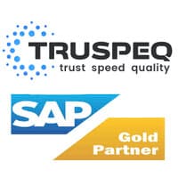 truspeq consulting pvt ltd