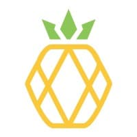Pineapple | Virtual Assistant Agency