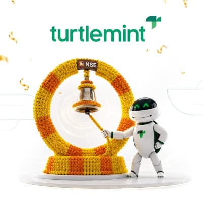 Turtlemint
