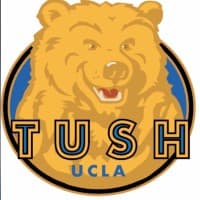 Transfer Undergraduate Students of Hillel at UCLA