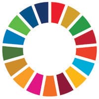 UN Partnerships