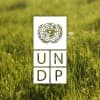 UNDP Uzbekistan