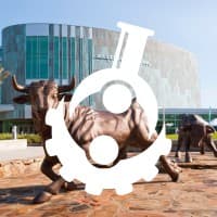 Society of Asian Scientists and Engineers at USF