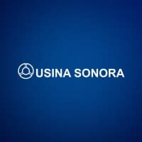 Usina Sonora S/A