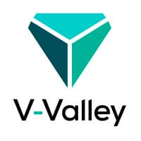 V-Valley Portugal - enhancing your business