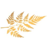 Vacaville Village Senior Living