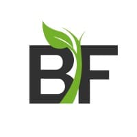 valore bf