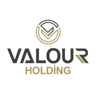 Valour Holding