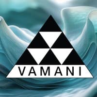VAMANI OVERSEAS PRIVATE LIMITED