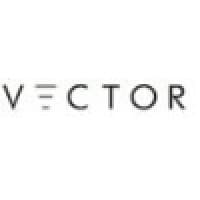 Vector Business Consulting