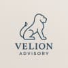 Velion Advisory